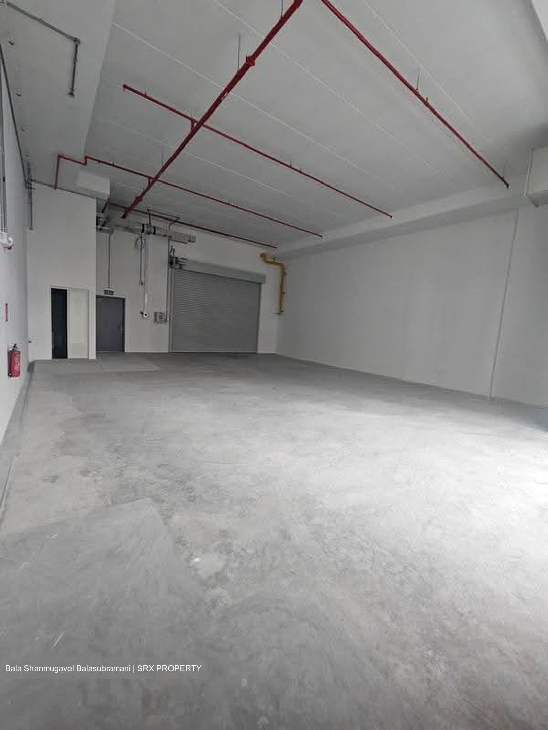 Ct Foodnex (D25), Factory #615720681